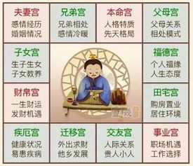 整体运程的影响及独特轨迹