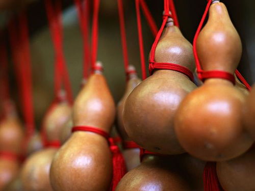 家里挂葫芦的风水讲究有哪些？