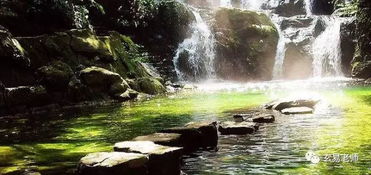 七星岩：洞内钟乳石与灵气的汇聚