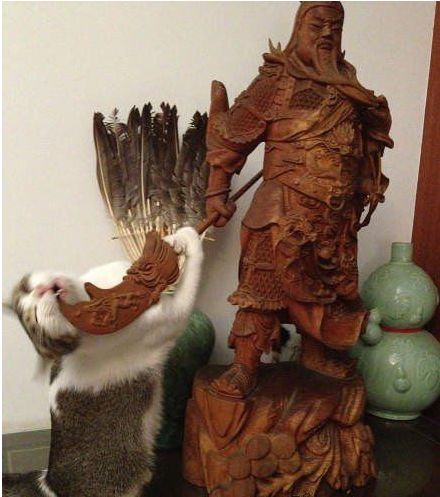 八字将星坐七杀羊刃6，将星坐羊刃的八字特点有哪些？