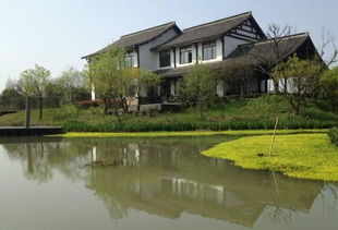 杭州“小众玩法”：茅家埠 → 龙井村 → 小河直街