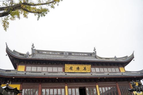 二、  法门寺：宏观叙事下的景观化禅修场域构建