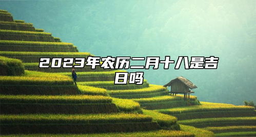 二、 五行命理视角下的吉日选择