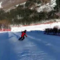 北方冒险游：滑雪与冰灯