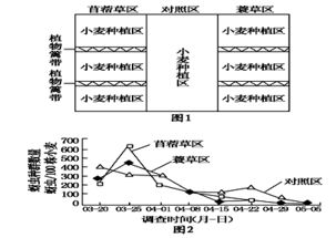 生基原理溯源：阴阳宅合一之术