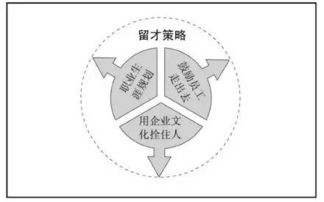 人力资源管理与职场文化