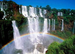 庐山避坑指南：2026年黄历预警！这破地方千万别去！