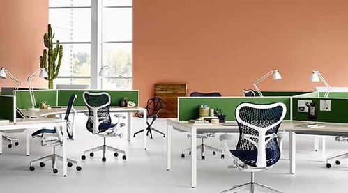 植物摆放对办公环境的影响：生机勃勃与气场调和