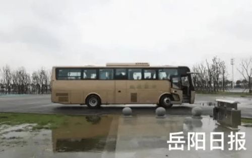 3. 餐车里的“创意菜”菜单（表格版）