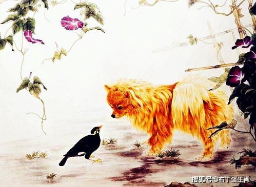 富贵生肖是什么？最富贵的动物打一生肖又是哪位？