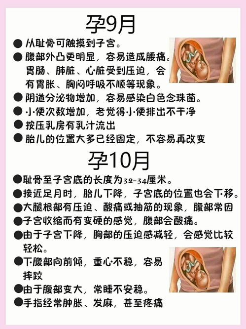 那一些隐藏版存在风险因素食物清单☆彡(゜▽゜*)