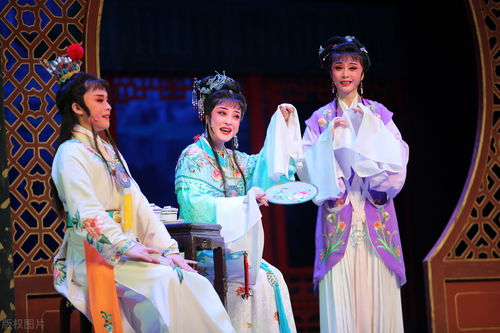 四、 生肖星座视角下的人格共性与差异