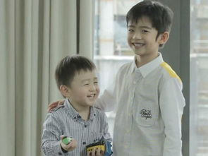 兄弟姐妹之象：健康与关系的微妙体现