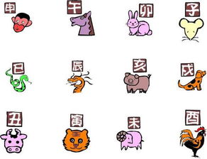 抖音十二生肖婚姻标准与夫妻生肖互动具体指什么？