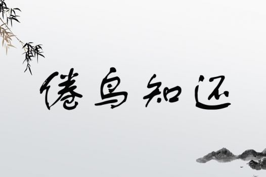 倦鸟是什么生肖？倦鸟是什么意思？它代表了哪个生肖？