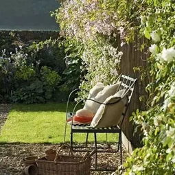 2026年1月院子移树吉日和6月适合伐树的日子分别是哪天？