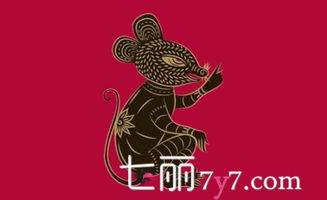 属鼠的人12月出生命运如何，性格特点怎样？