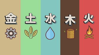 五行生克制化的动态演变与日运势关联