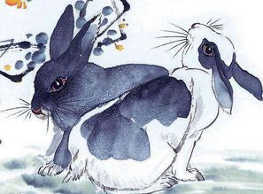 48岁属兔的人是哪一年出生的？本命年该如何化解灾祸？