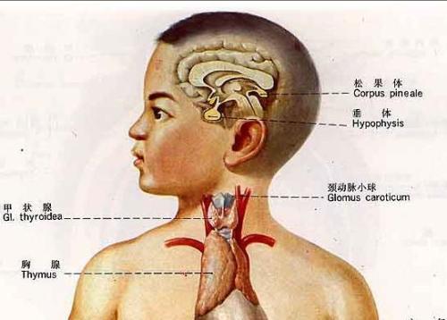 皮肤病与风水之间是否存在某种关联性呢？