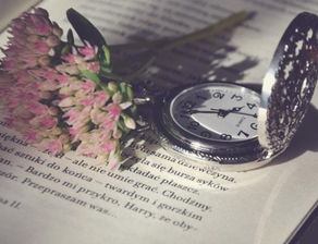 风水学视域下的“清新”元素：环境能量场的构建与优化