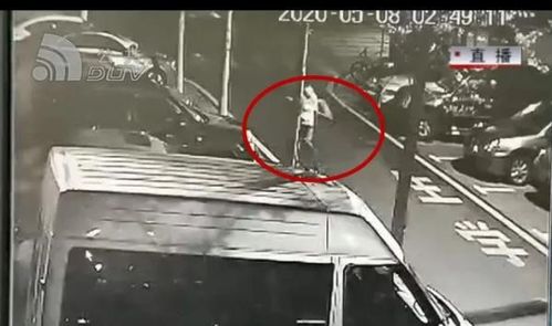 事件概述与基本事实的梳理