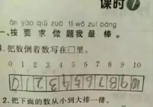 ：自我认知与行为倾向的初步探讨