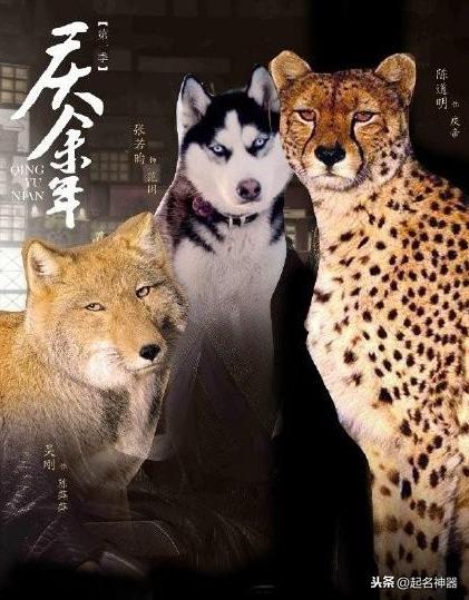 给属虎缺火女宝宝取名的核心原则