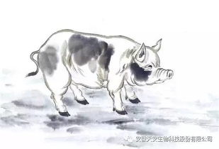 动物兄弟第四季免费全集中的动物兄弟十二生肖运势具体运势如何？