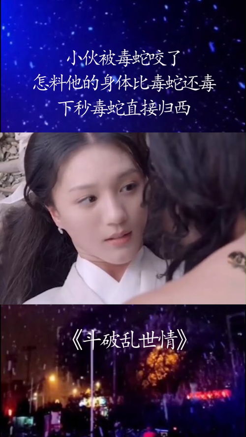 三、 爱的毒蛇：情感的象征与现实的映射