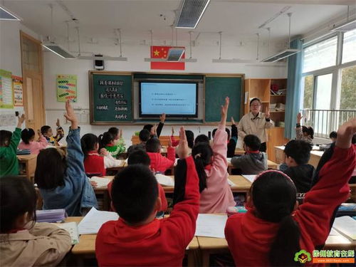 校园旅游的三大误区：我们总在“教”，而不是“让”学生玩