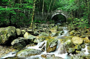 乌岩岭：爬山真的不是一件浪漫的事情