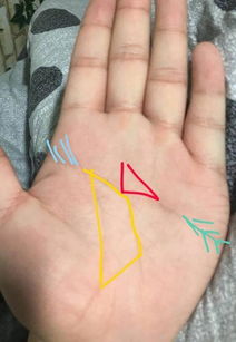 手相中哪些特征表明格局大、有福气？