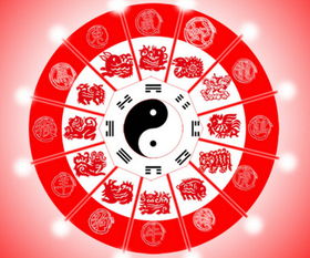 董易林十二生肖运势中，十二生肖今日运势具体指的是什么？