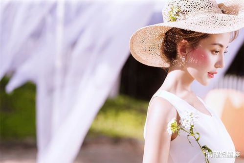 巨蟹座与摩羯座的温柔与深沉，你梗偏爱哪一种性格的对抗？