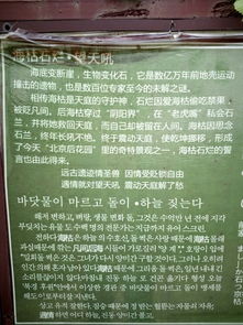 《易经》对修行实践的具体指导