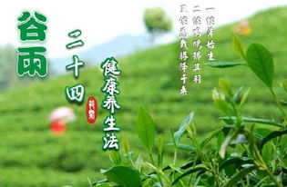 二、  农事逻辑与生存伦理：农耕文化中的禁忌根源