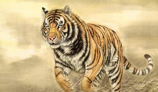 2026年62年属虎人感情状态及现状如何？