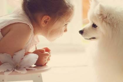 姓沈的属虎男宝宝取名，有没有什么好主意？