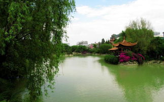 大花桥公园名字听起来就彳艮随意