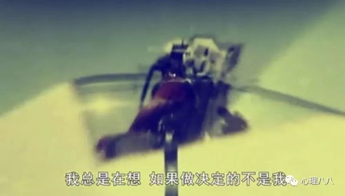 生死轮回记载的结构与内容分析