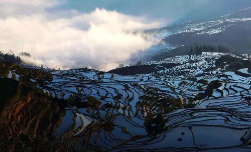 哈尼族的土味狂欢节