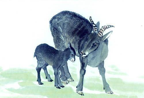 1979年属羊人在2026年财运如何，有哪些方法可以提升？