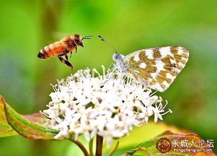 进一步的反思与讨论