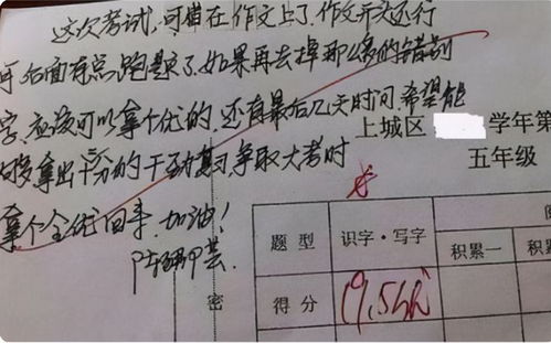 前言：惯与那一份沉甸甸的泥土芬芳与独特期许