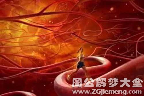 动脉的象征意义与现实关联