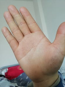 手相玄学中，这个顺口溜是什么意思？