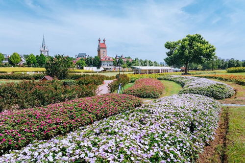 一、 交通：折腾到哭的路线图