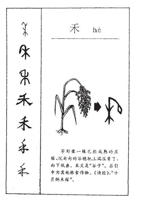 “思”字的五行属性