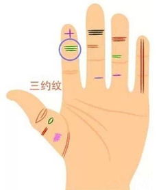 手纹财运线如何？